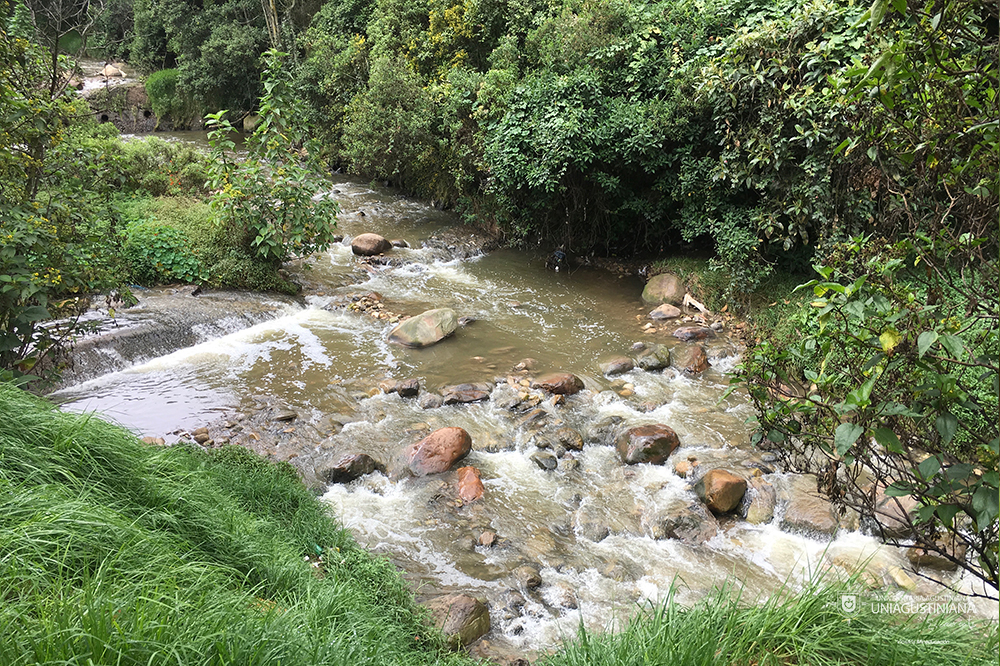 Uniagustinianos comprometidos con la conservación del Río Fucha y la educación ambiental