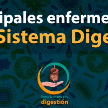 Publicación especial: Principales enfermedades del sistema digestivo