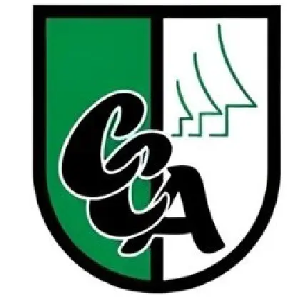 Logo 1