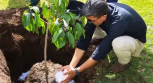 biodiversidad urbana