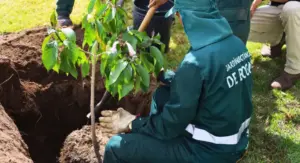 conservación ambiental